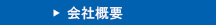 ЊTv
